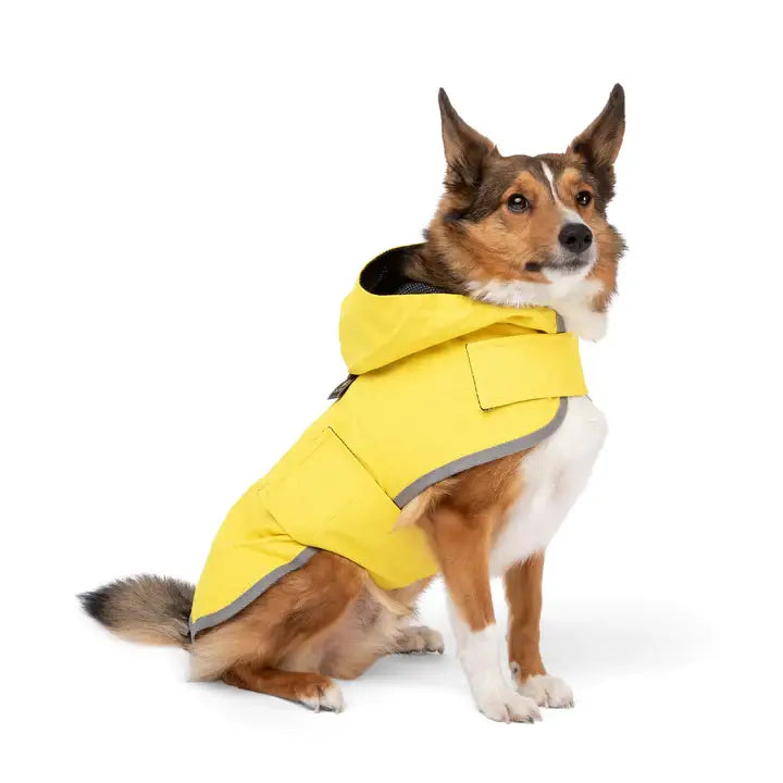 PET GEAR DISTRIBUTORS - NANDOG Dog Rain Coat Sport Collection
