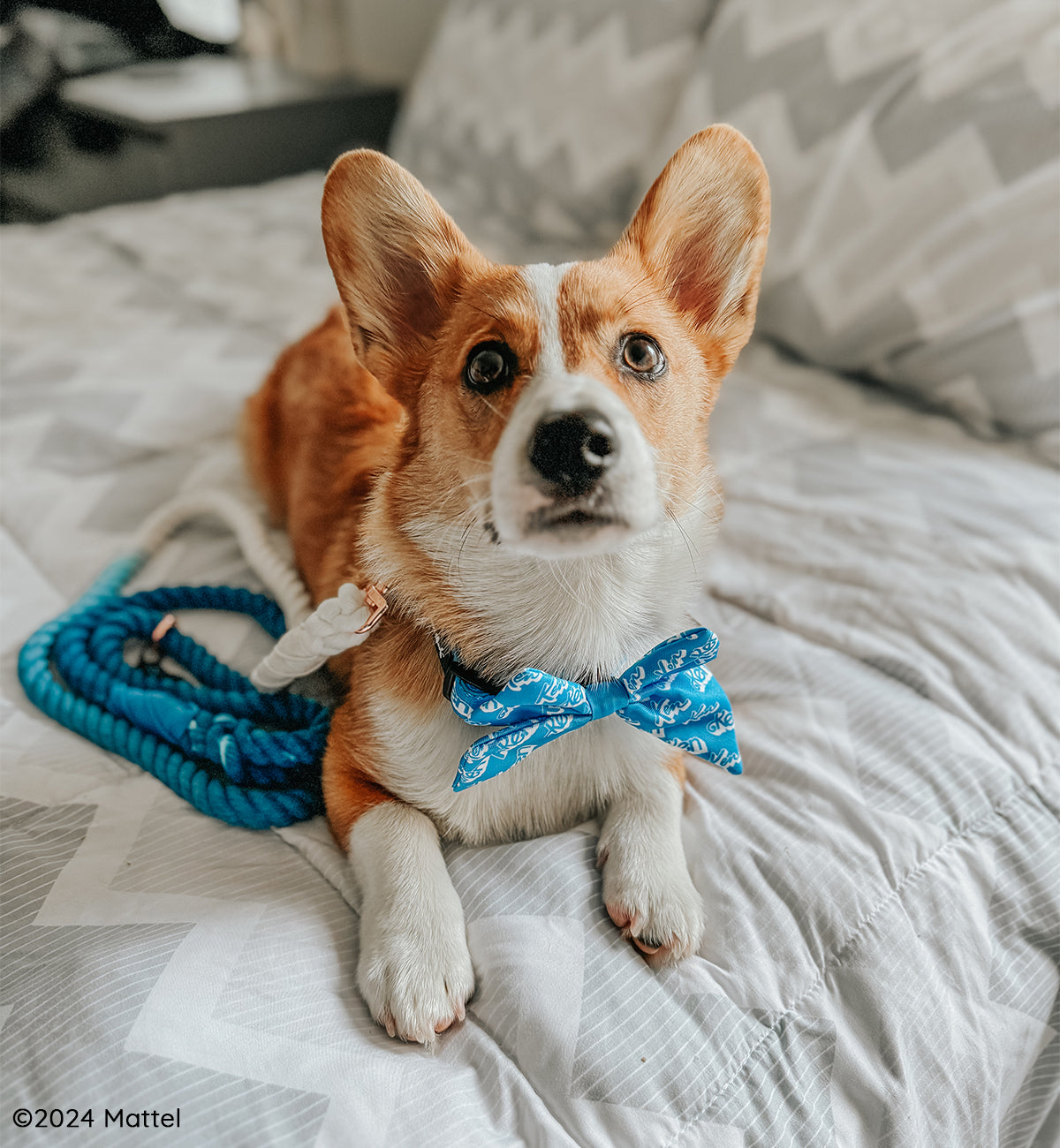 Dog Sailor Bow - KEN™