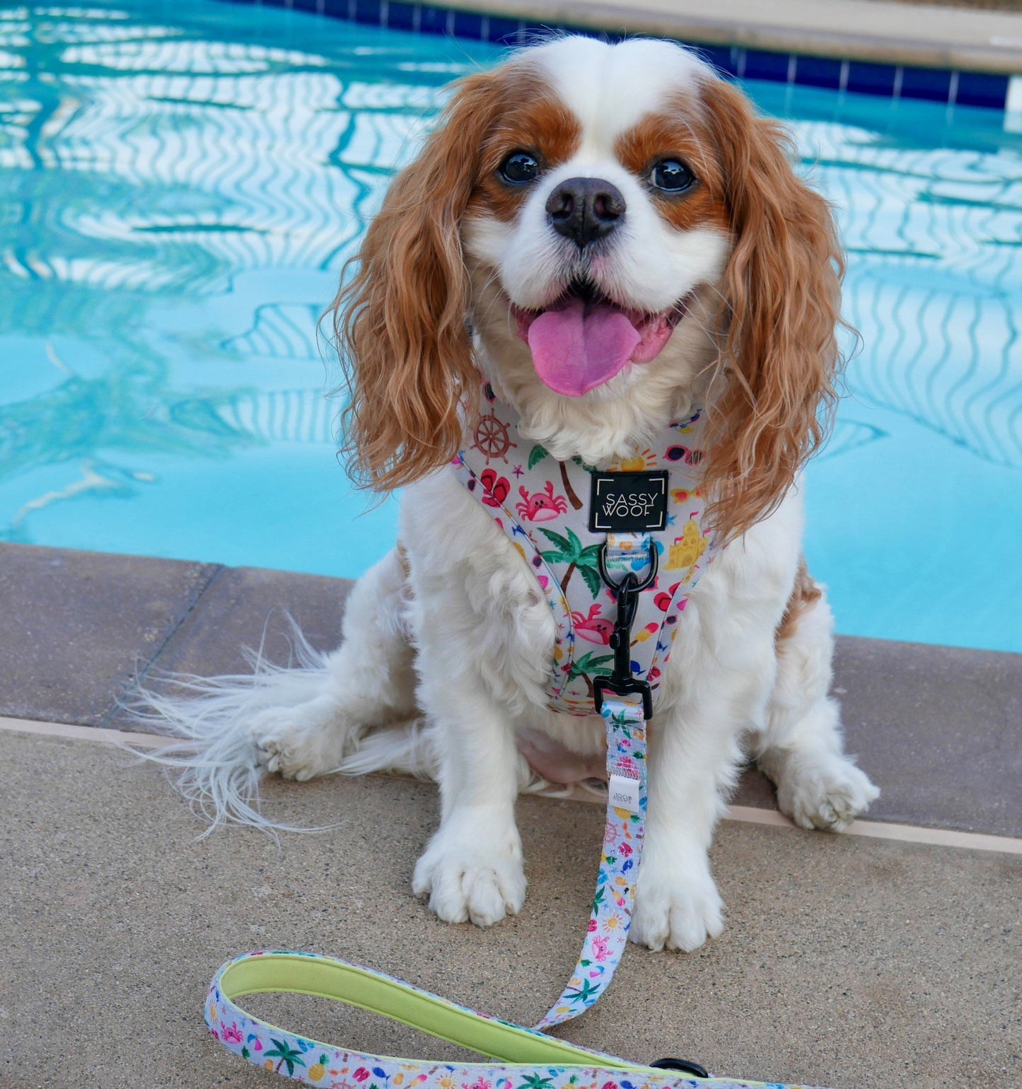 Dog Two Piece Bundle - Beach Please