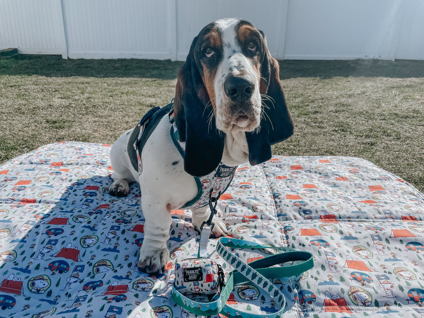Dog Picnic Blanket - Peanuts™ Beagle Scouts
