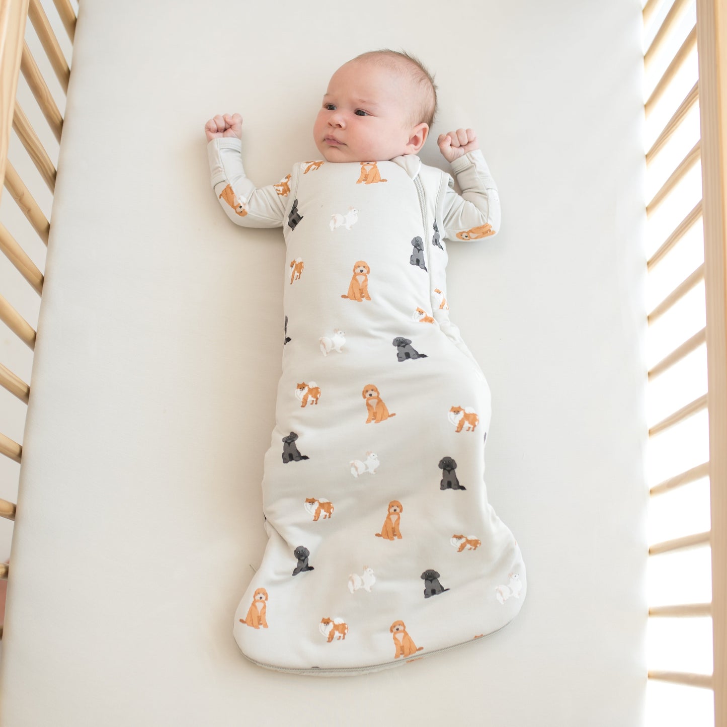 Sleep Bag in Fluffy Dog 1.0