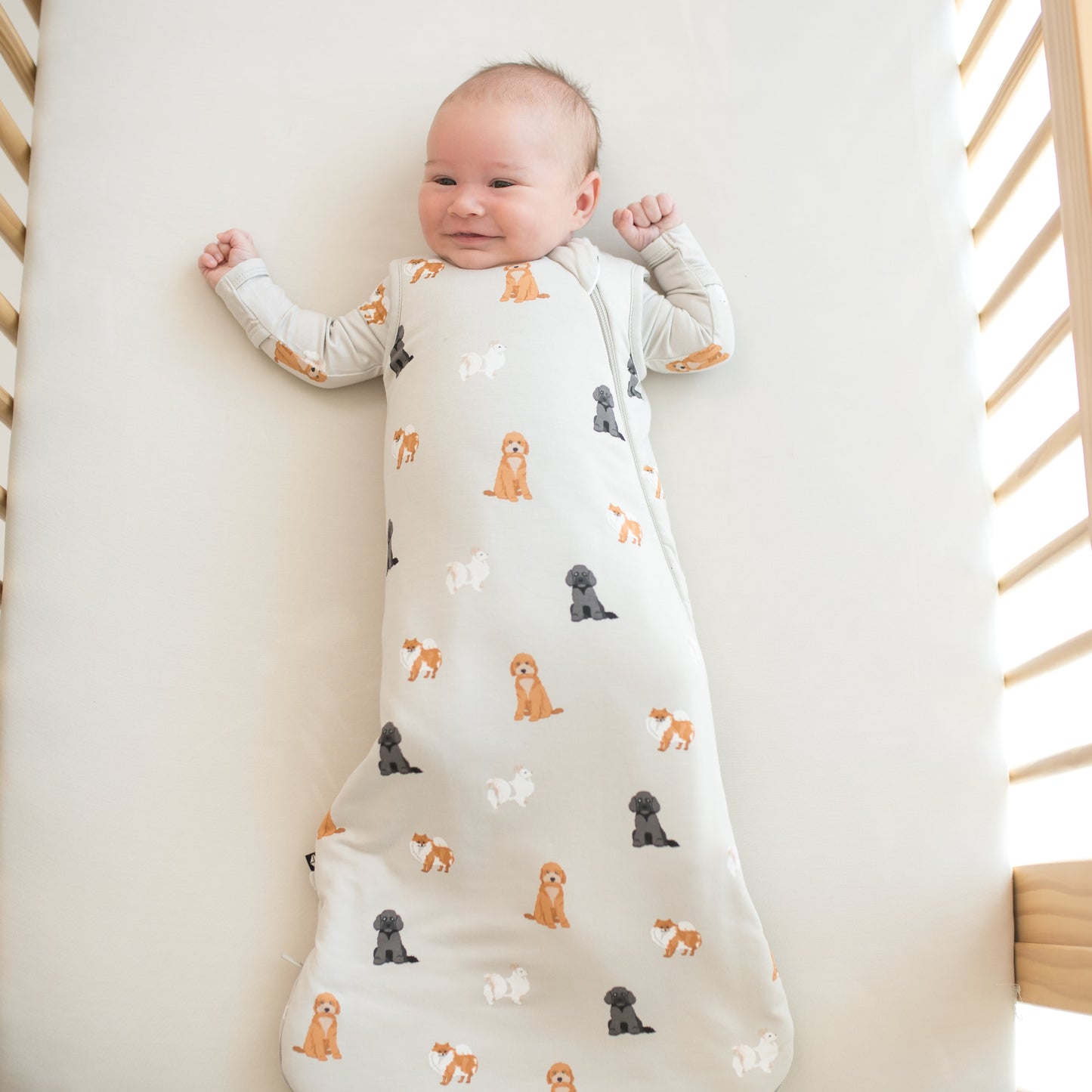 Sleep Bag in Fluffy Dog 1.0