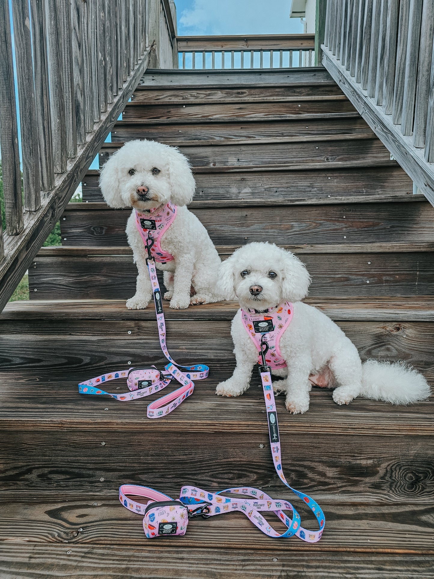 Dog Four Piece Bundle - Gilmore Girls™