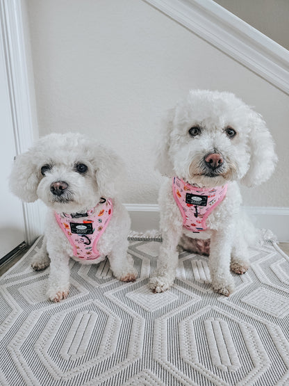 Dog Two Piece Bundle - Gilmore Girls™