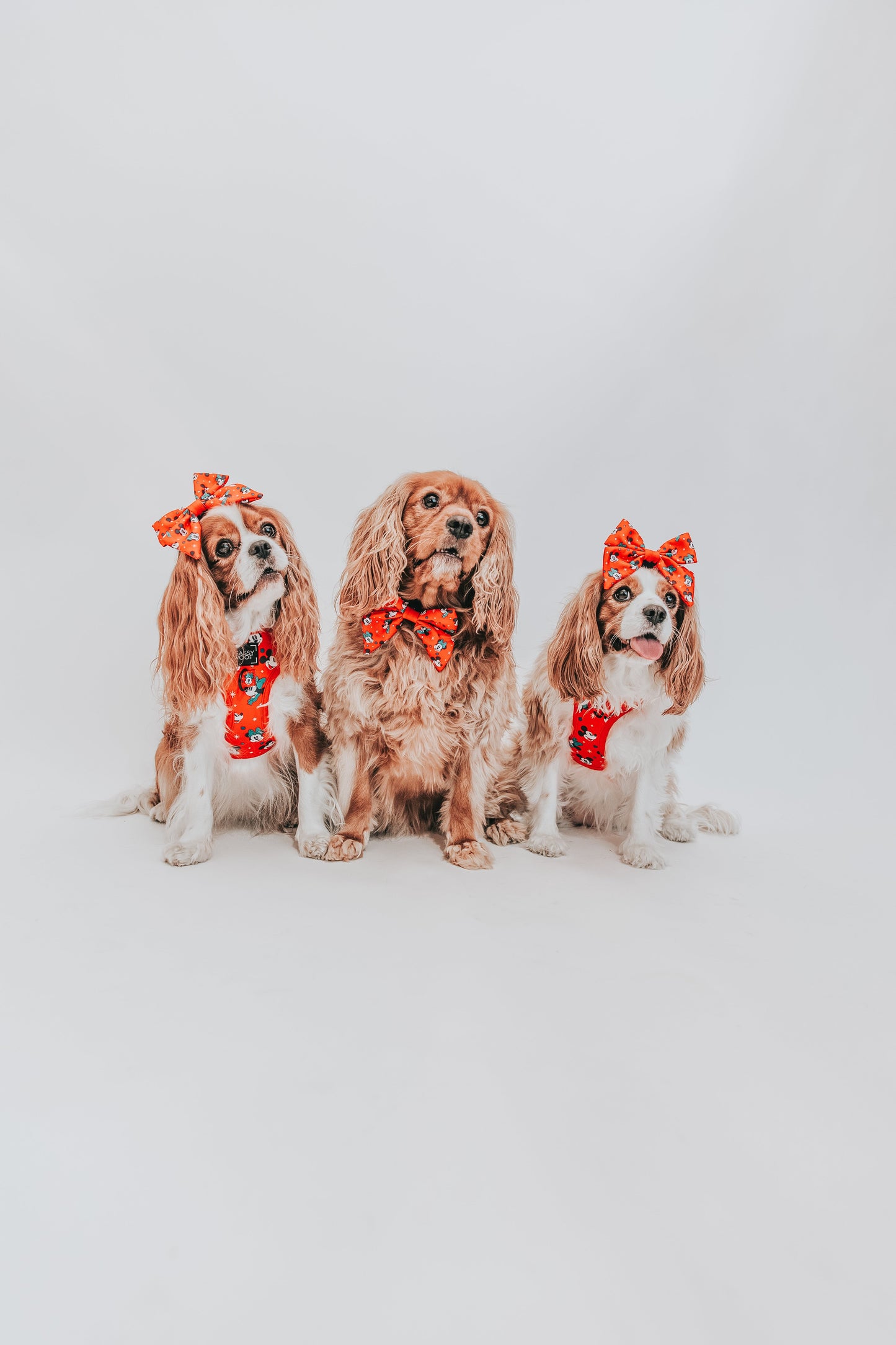 Dog Sailor Bow - Disney Holiday Collection