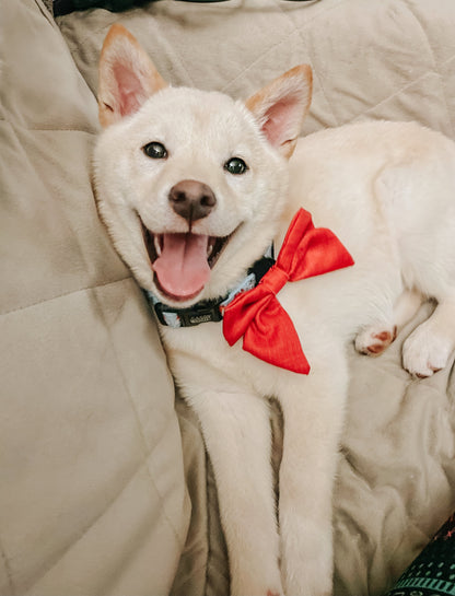 Dog Sailor Bow - Merlot