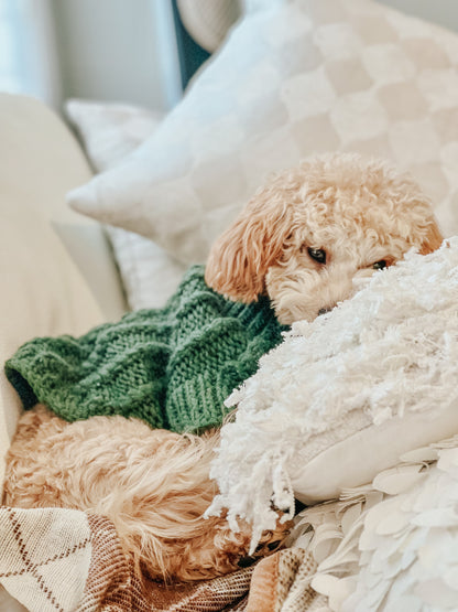 Pet Cable Knit Sweater - Dark Green