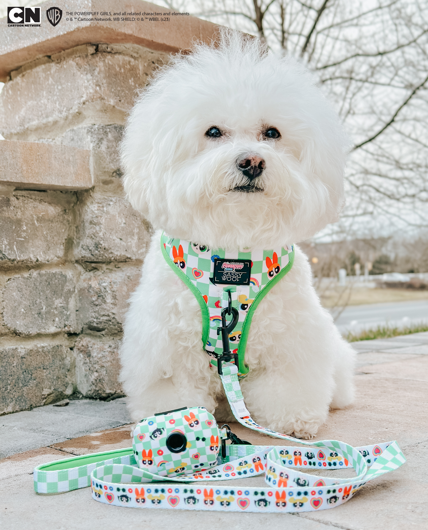 Dog Four Piece Bundle - The Powerpuff Girls™ (Green)