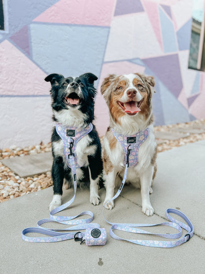 Dog Leash - Fleur de Sass