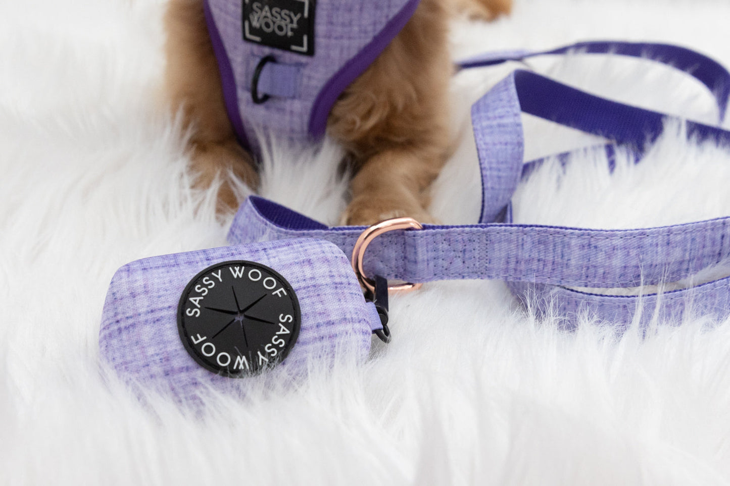 Dog Waste Bag Holder - Aurora