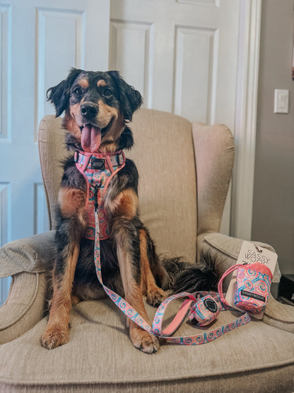 Dog Two Piece Bundle - Good Vibes