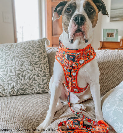 Dog Collar - Garfield™