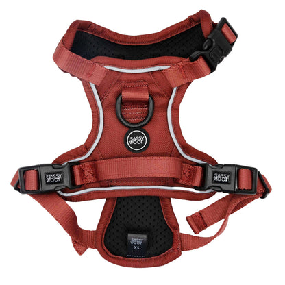 Dog Step-in Harness - Burgundy