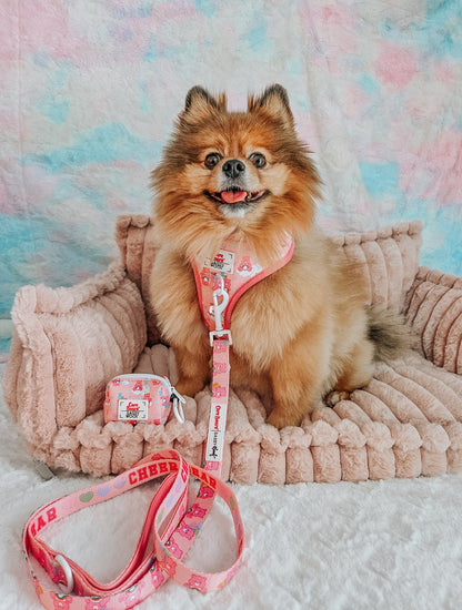 Dog Four Piece Bundle - Care Bears™ Cheer Bear