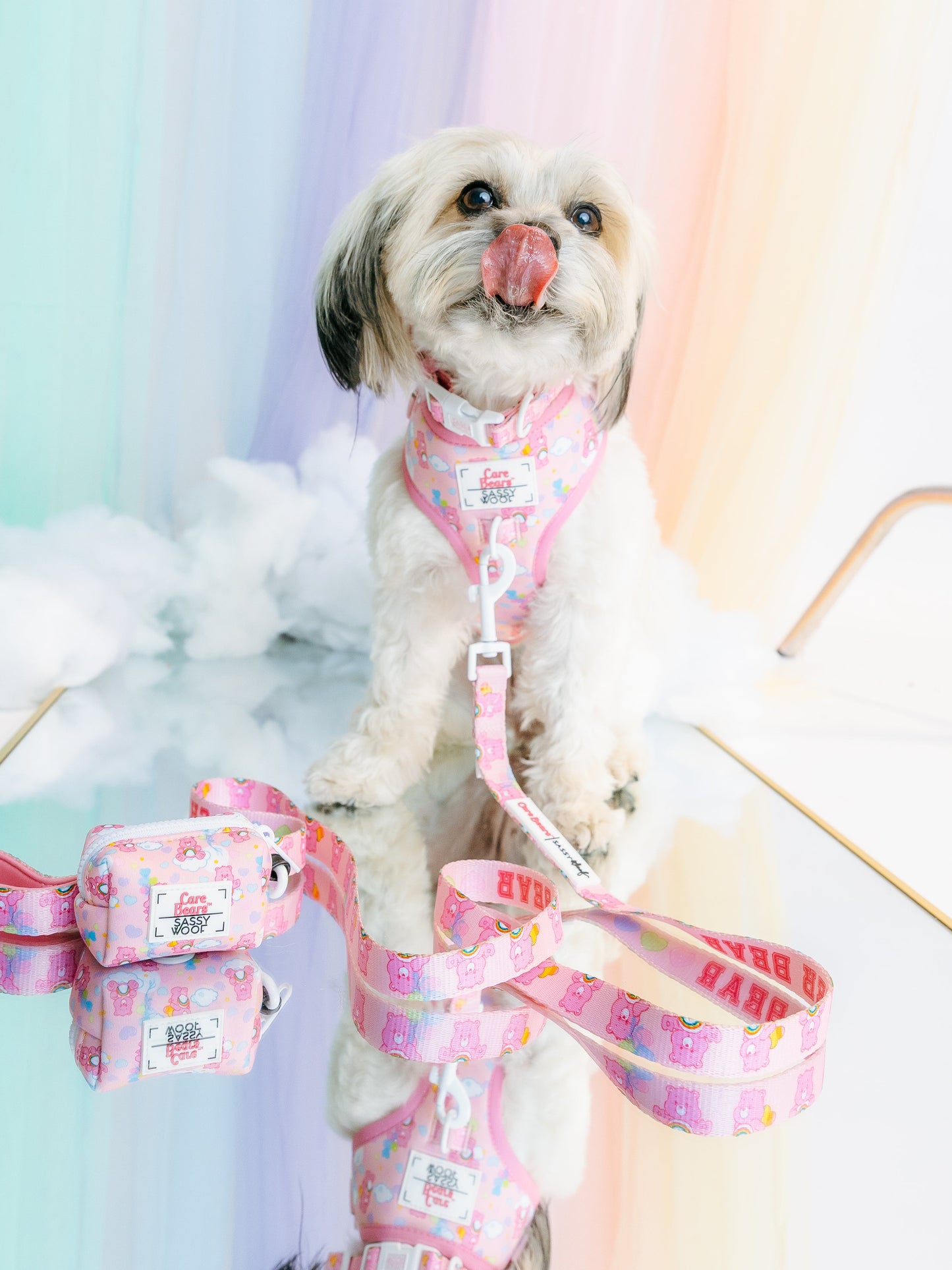 Dog Four Piece Bundle - Care Bears™ Cheer Bear