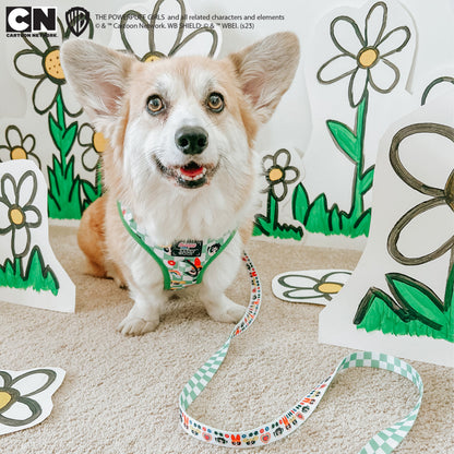 Dog Four Piece Bundle - The Powerpuff Girls™ (Green)