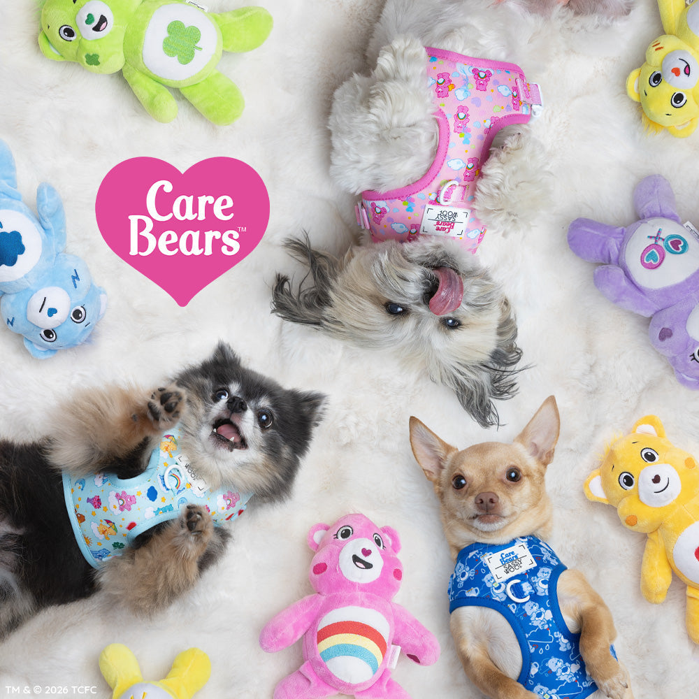 Dog Four Piece Bundle - Care Bears™ Grumpy Bear