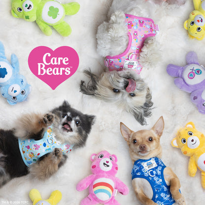 Dog Two Piece Bundle - Care Bears™ Grumpy Bear