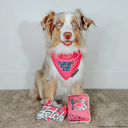 Dog Bandana - Mean Girls™ She Doesn't Even Go Here