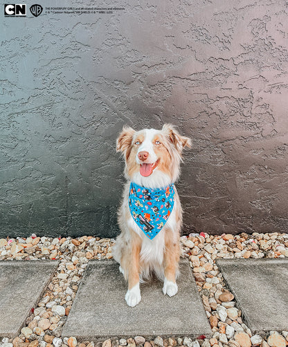 Dog Bandana - The Powerpuff Girls™ (Blue)