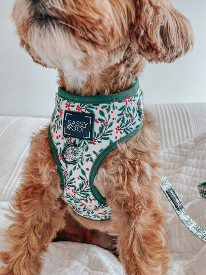 Dog Leash - Under The Mistletoe