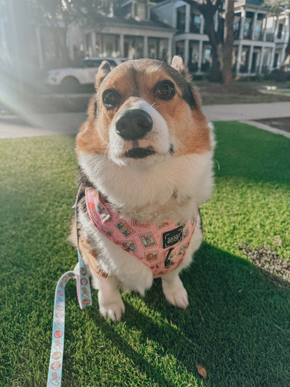 Dog Leash - Out of Office
