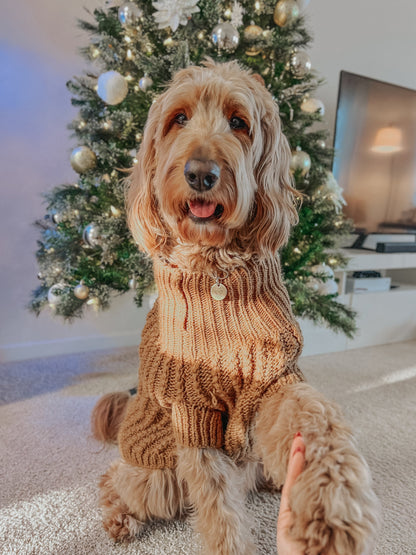 Pet Cable Knit Sweater - Brown