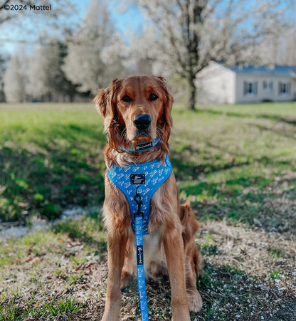 Dog Adjustable Harness - KEN™