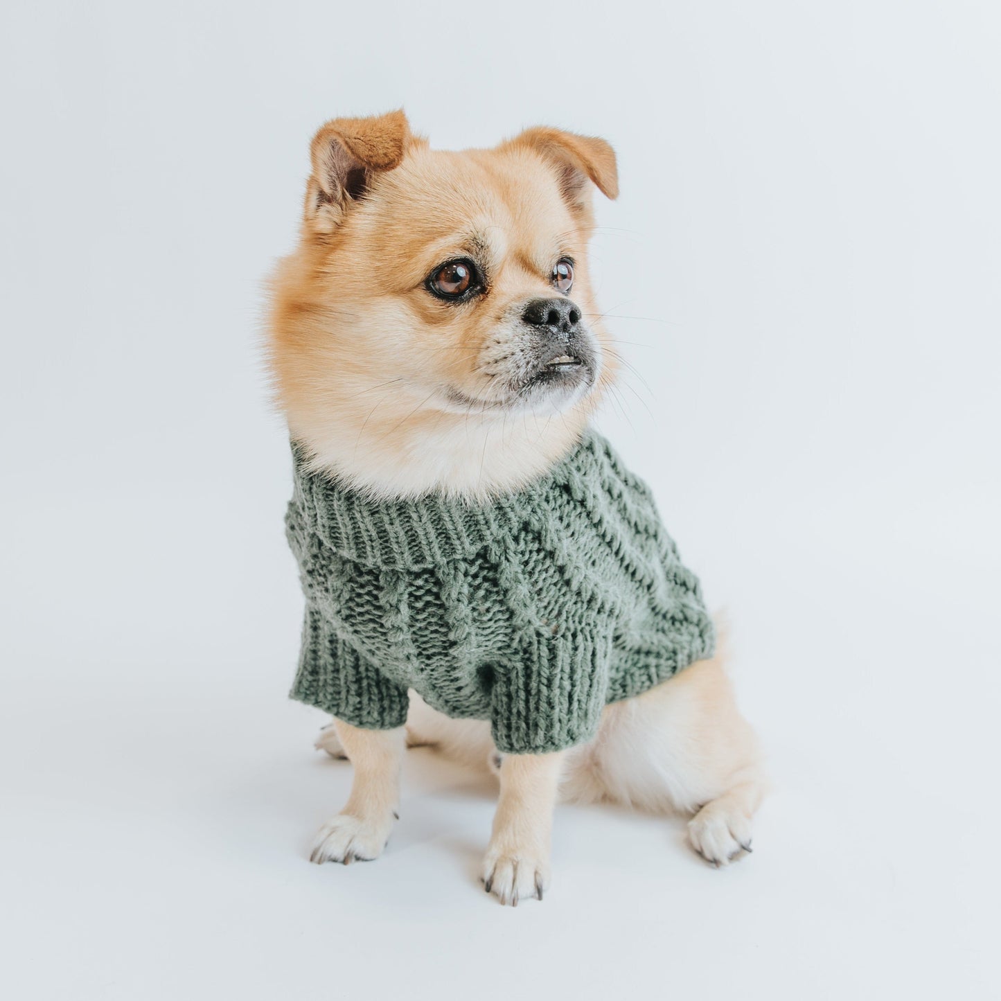 Pet Cable Knit Sweater - Dark Green