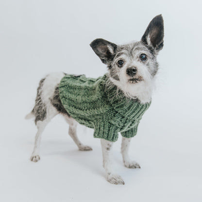 Pet Cable Knit Sweater - Dark Green