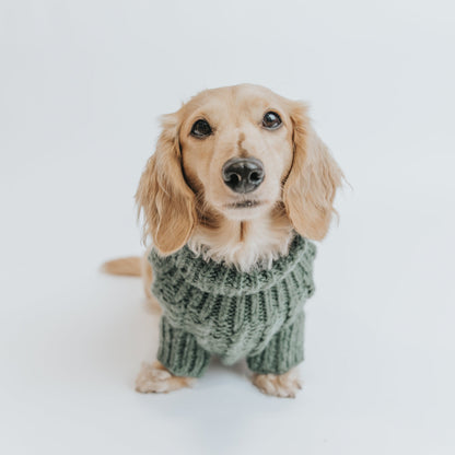 Pet Cable Knit Sweater - Dark Green