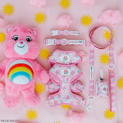 Dog Four Piece Bundle - Care Bears™ Cheer Bear