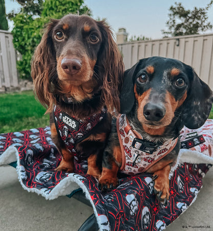 Pet Blanket - STAR WARS™ The Dark Side