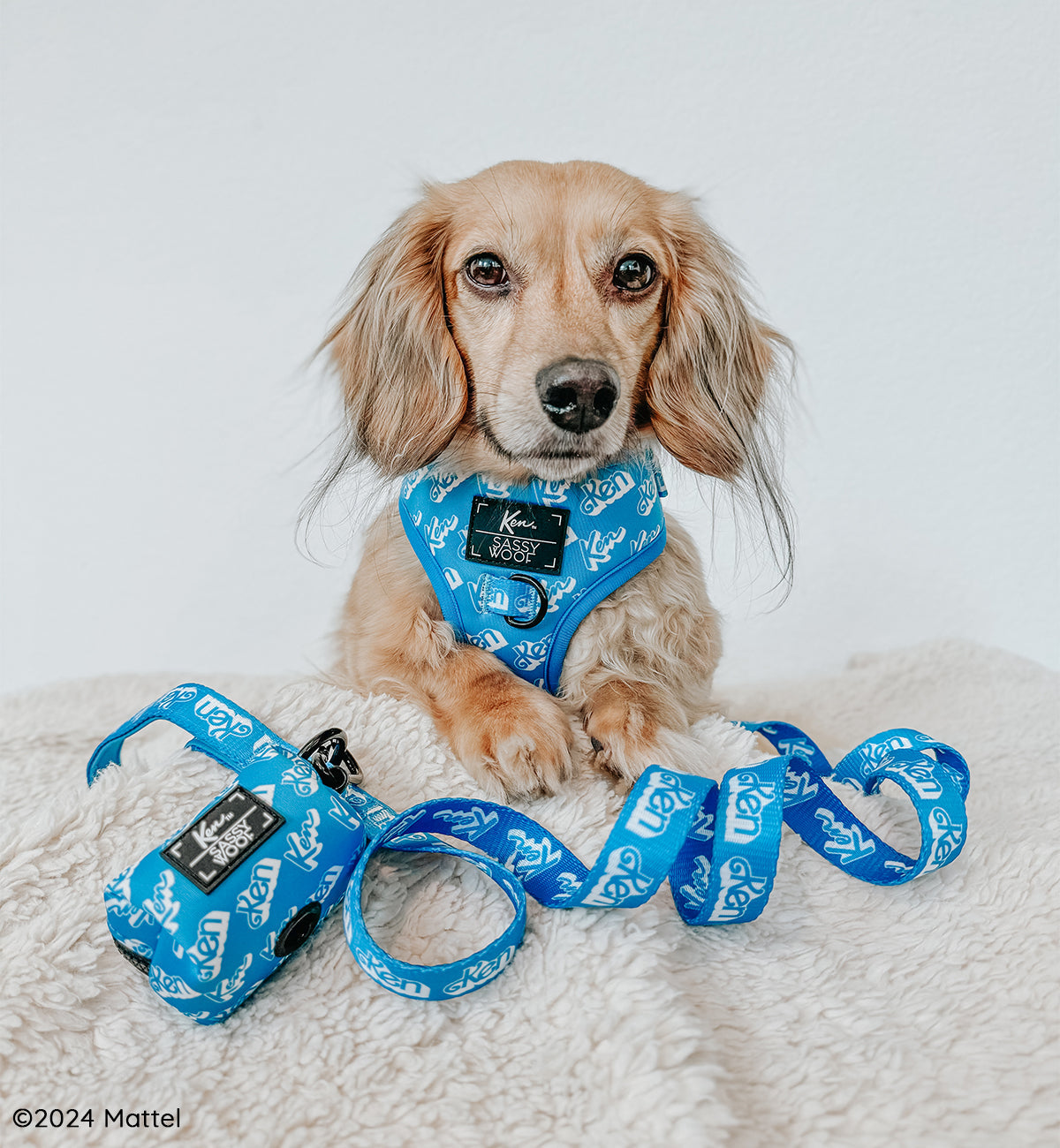 Dog Four Piece Bundle - KEN™