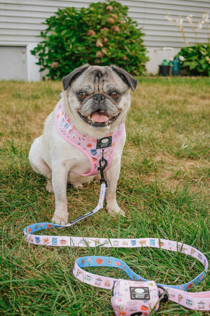 Dog Two Piece Bundle - Gilmore Girls™