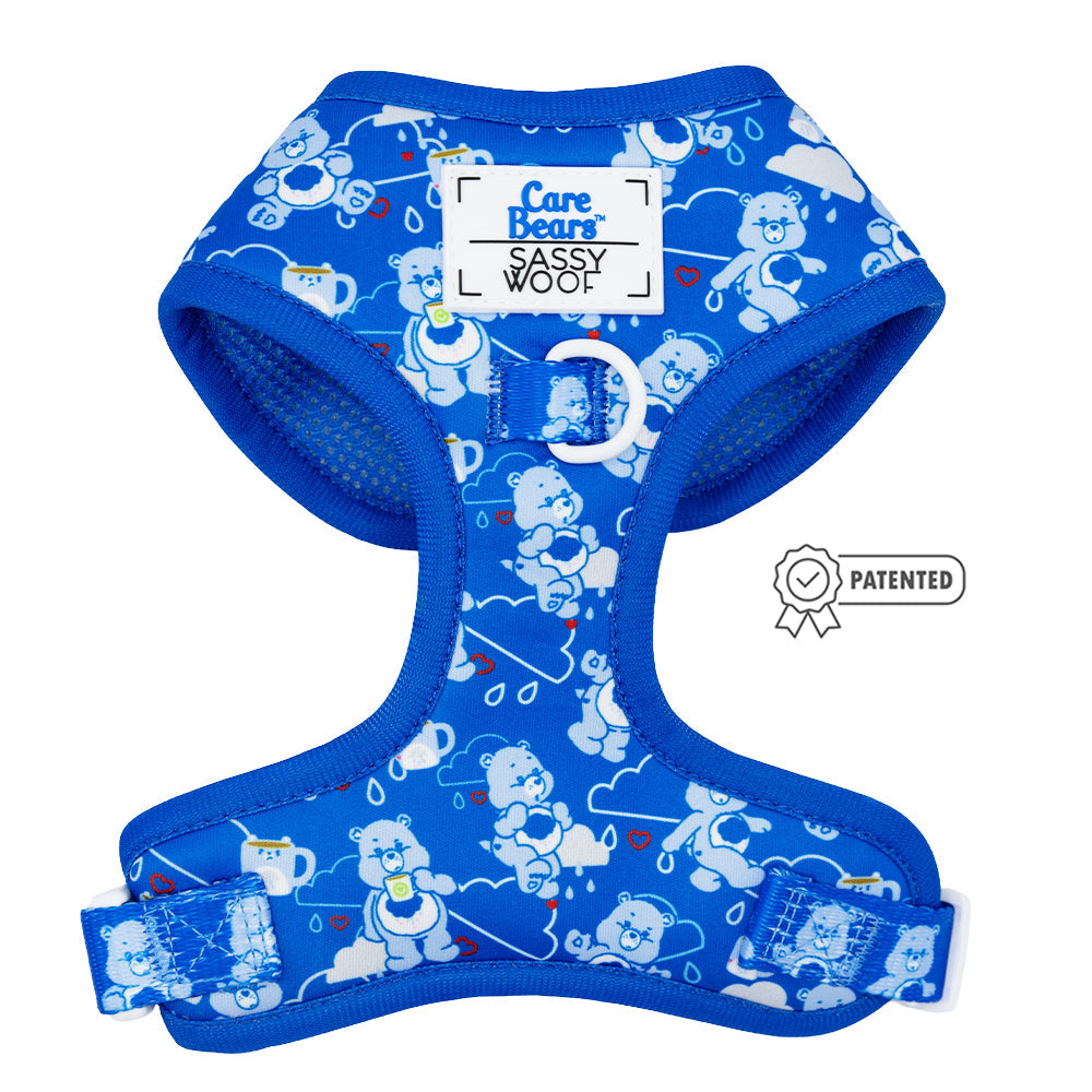 Dog Four Piece Bundle - Care Bears™ Grumpy Bear