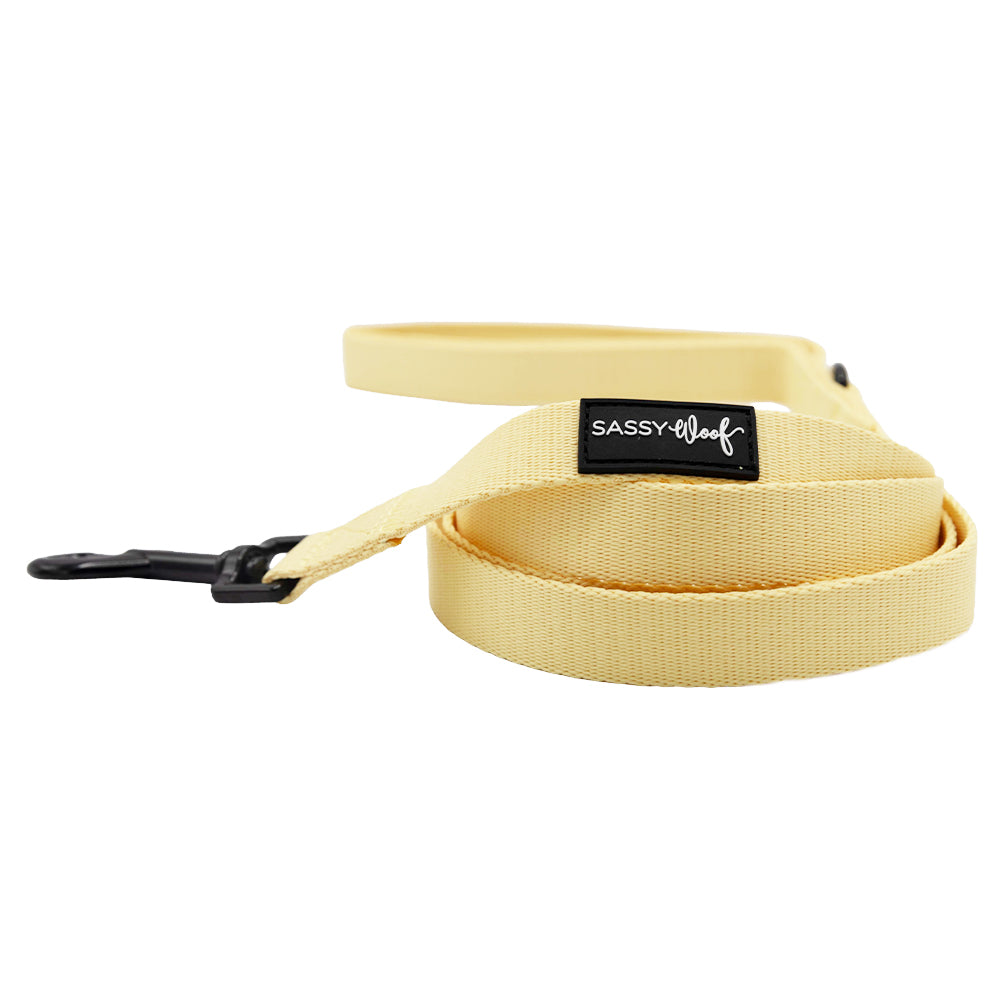 Dog Four Piece Bundle - Daffodil