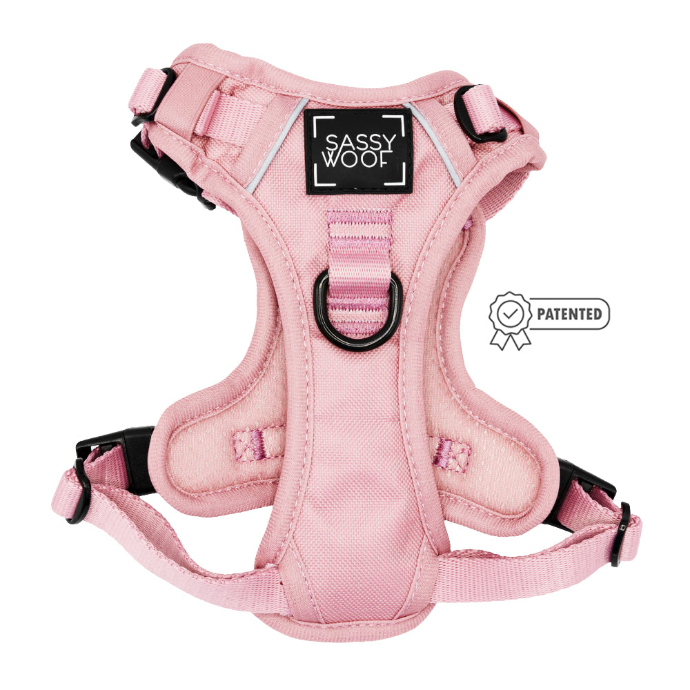 Dog Two Piece Bundle - Dusty Rose