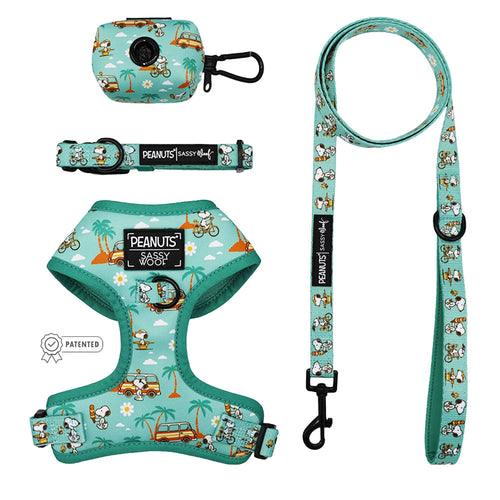 Dog Four Piece Bundle - Peanuts™ Road Tripping