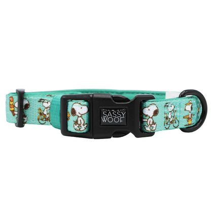 Dog Four Piece Bundle - Peanuts™ Road Tripping