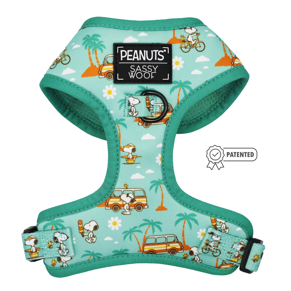 Dog Four Piece Bundle - Peanuts™ Road Tripping