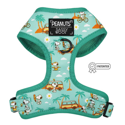 Dog Four Piece Bundle - Peanuts™ Road Tripping