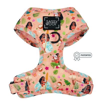 Dog Two Piece Bundle - Disney's Moana