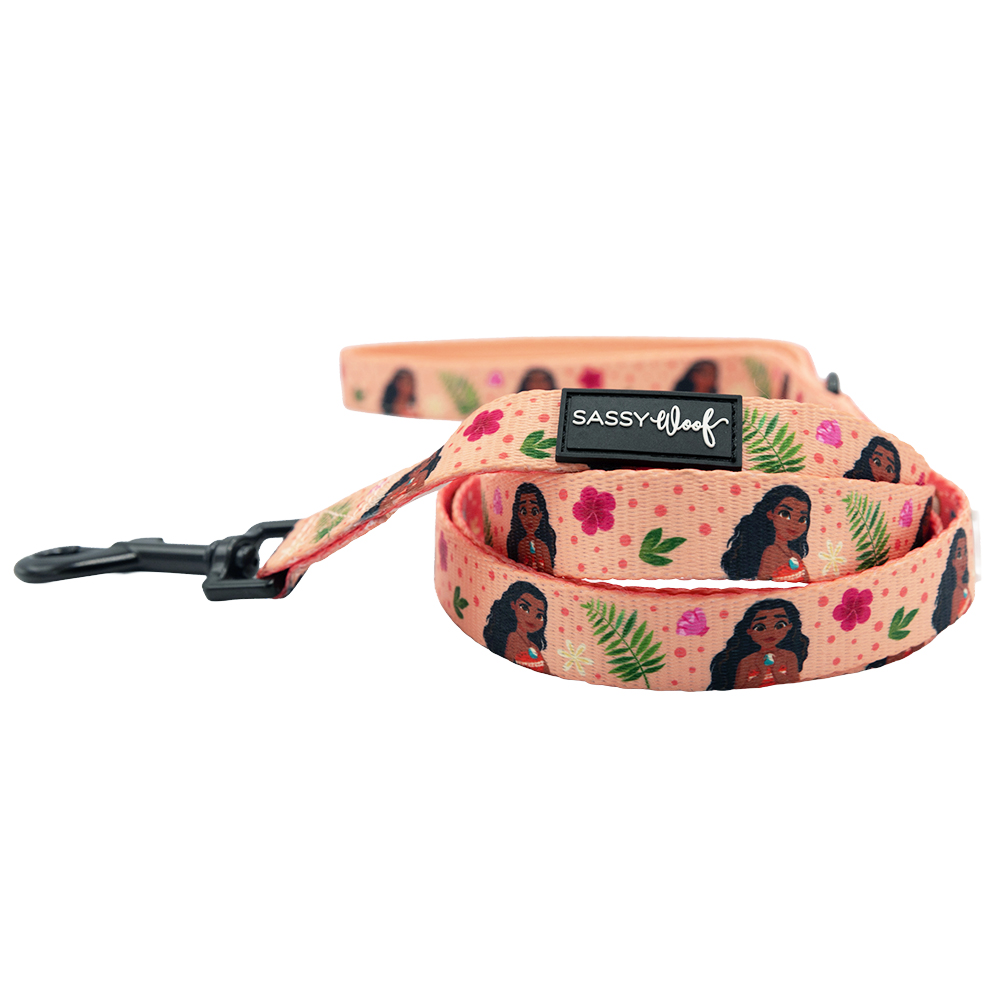 Dog Two Piece Bundle - Disney's Moana