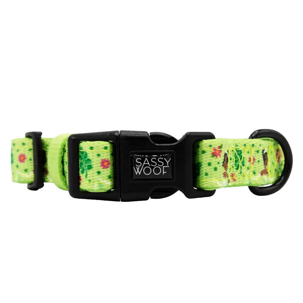 Harness Three Piece Bundle - Disney's Tiana