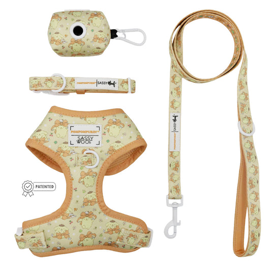 Dog Four Piece Bundle - Pompompurin™