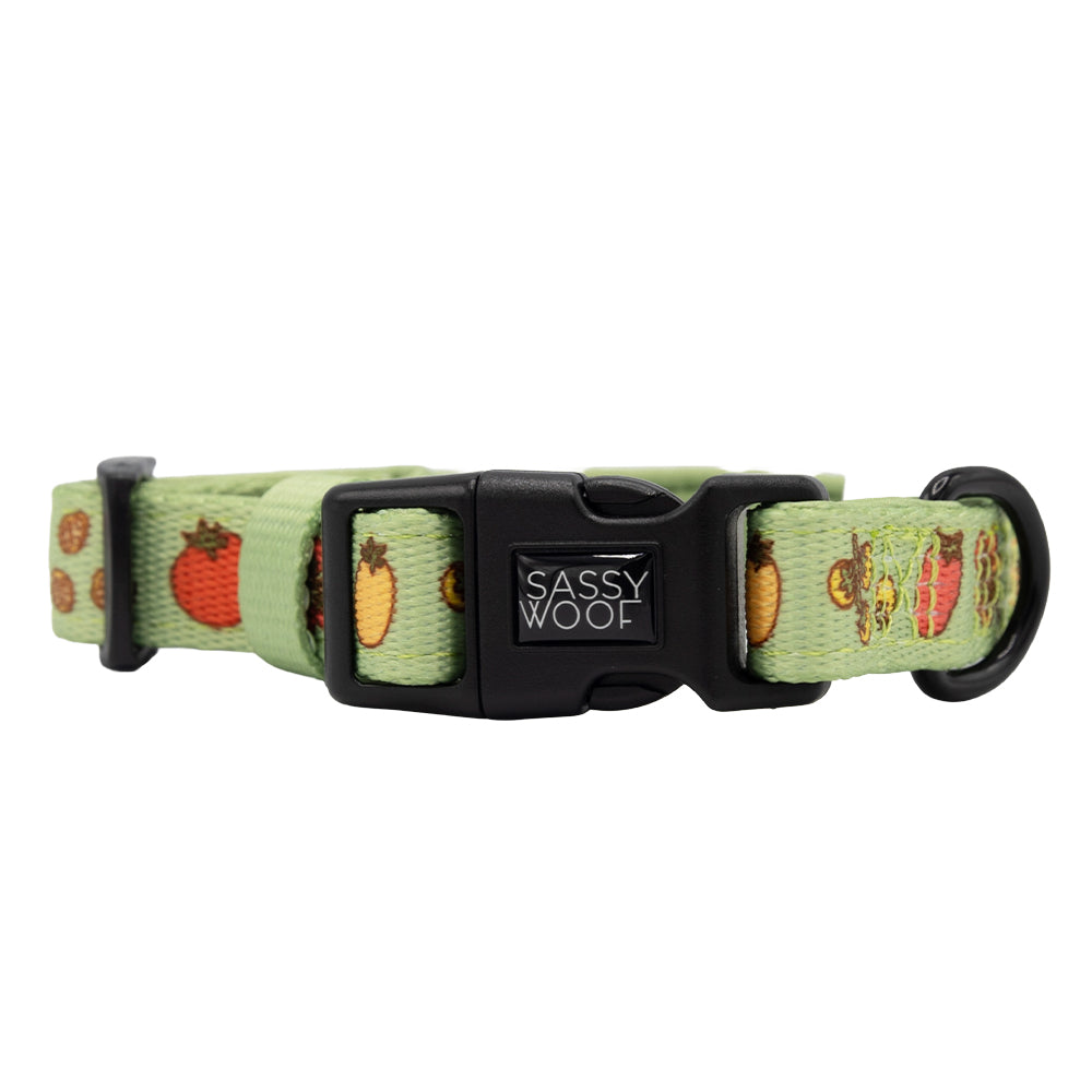 Dog Three Piece Bundle - Feeling Vine