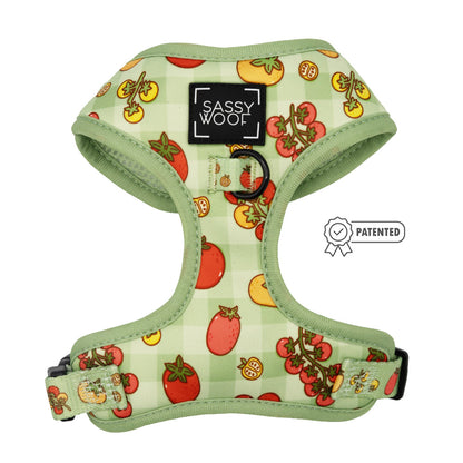 Dog Four Piece Bundle - Feeling Vine