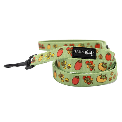 Dog Four Piece Bundle - Feeling Vine