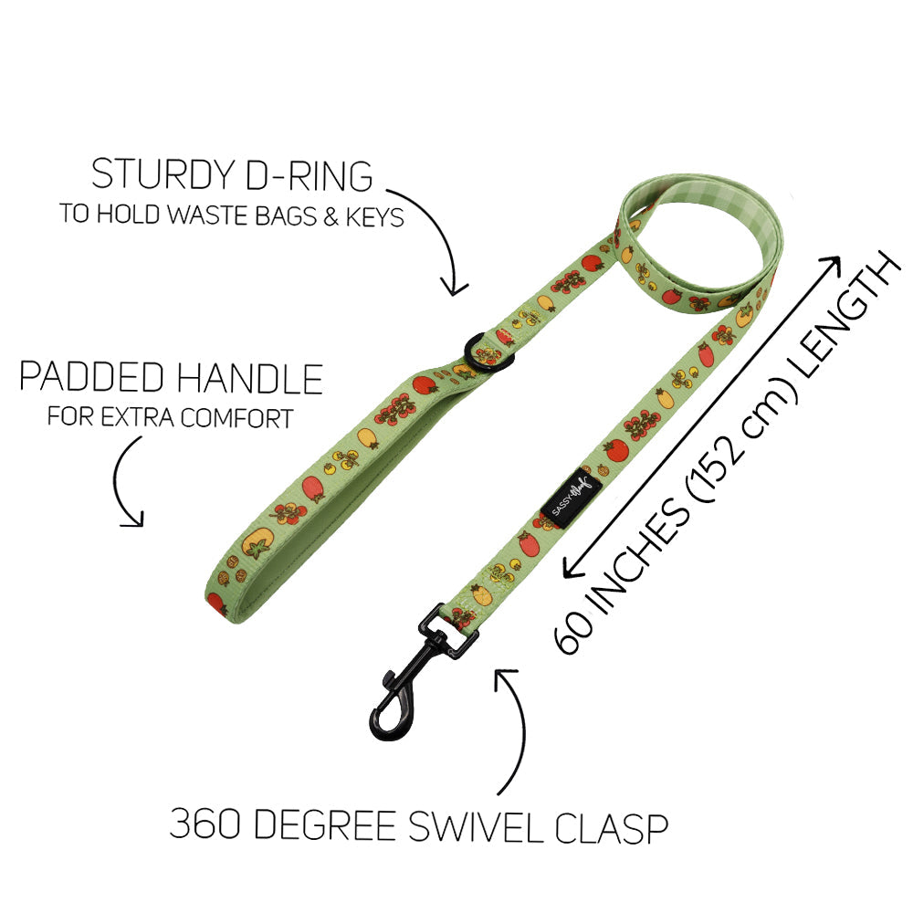 Dog Four Piece Bundle - Feeling Vine